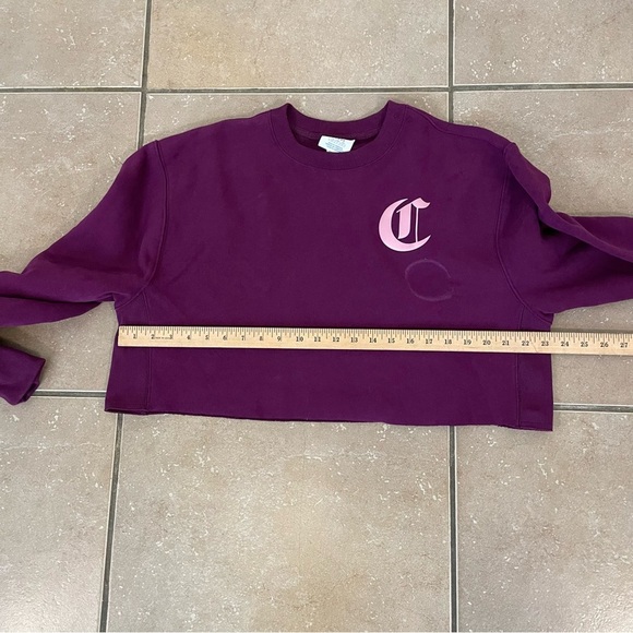 Champion Reverse Weave Crop Cut Off Sweatshirt Spellout Purple Size L STAINED - Picture 6 of 7